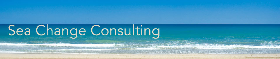 Interpersonal Strategies & Consulting