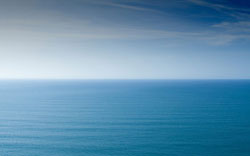 Sea Change Consulting - Success